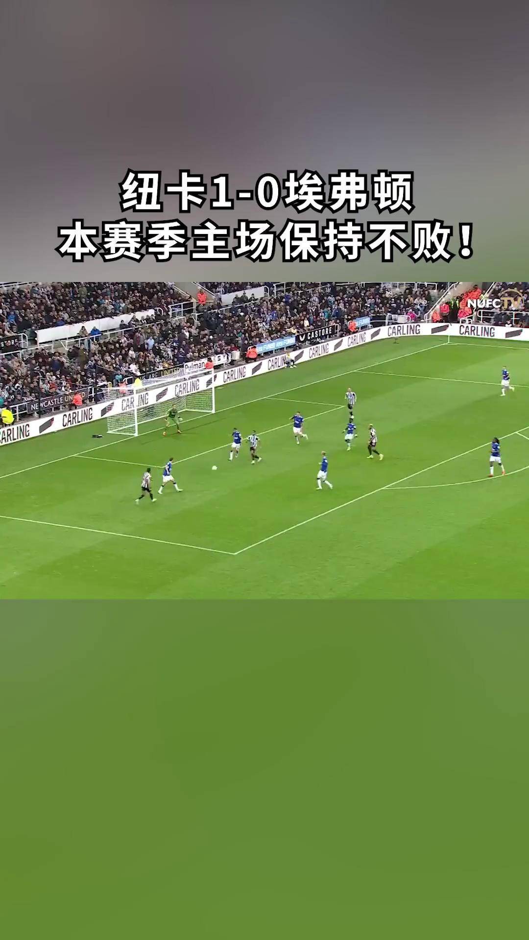 鲁能主场大胜权健，塔神头槌破门助球队取胜保持不败的简单介绍