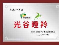 瞪羚般的身影冲锋陷阵，场上球员速度和爆发力十足的简单介绍