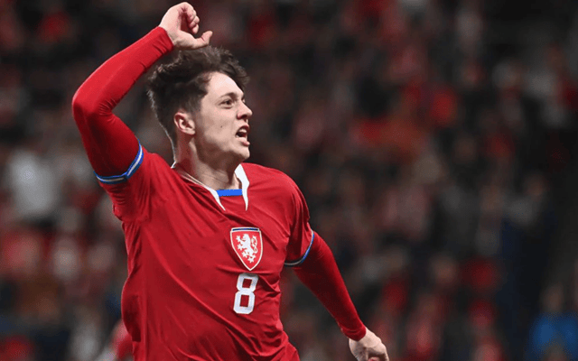 欧洲预选赛中捷克队奋力抗争的简单介绍 欧洲预选赛中捷克队奋力抗争的简单介绍