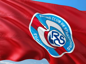 开云体育中国-帕尔梅拉斯传控战术优化，球队整体配合更顺畅