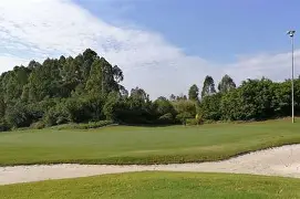 包含懊丧之师或将在球场上再次面对挑战的词条