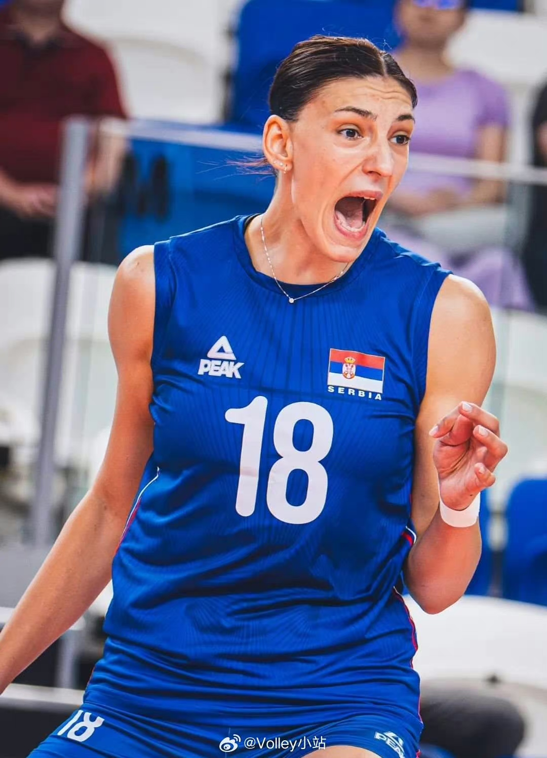 塞尔维亚队击败对手，士气高涨