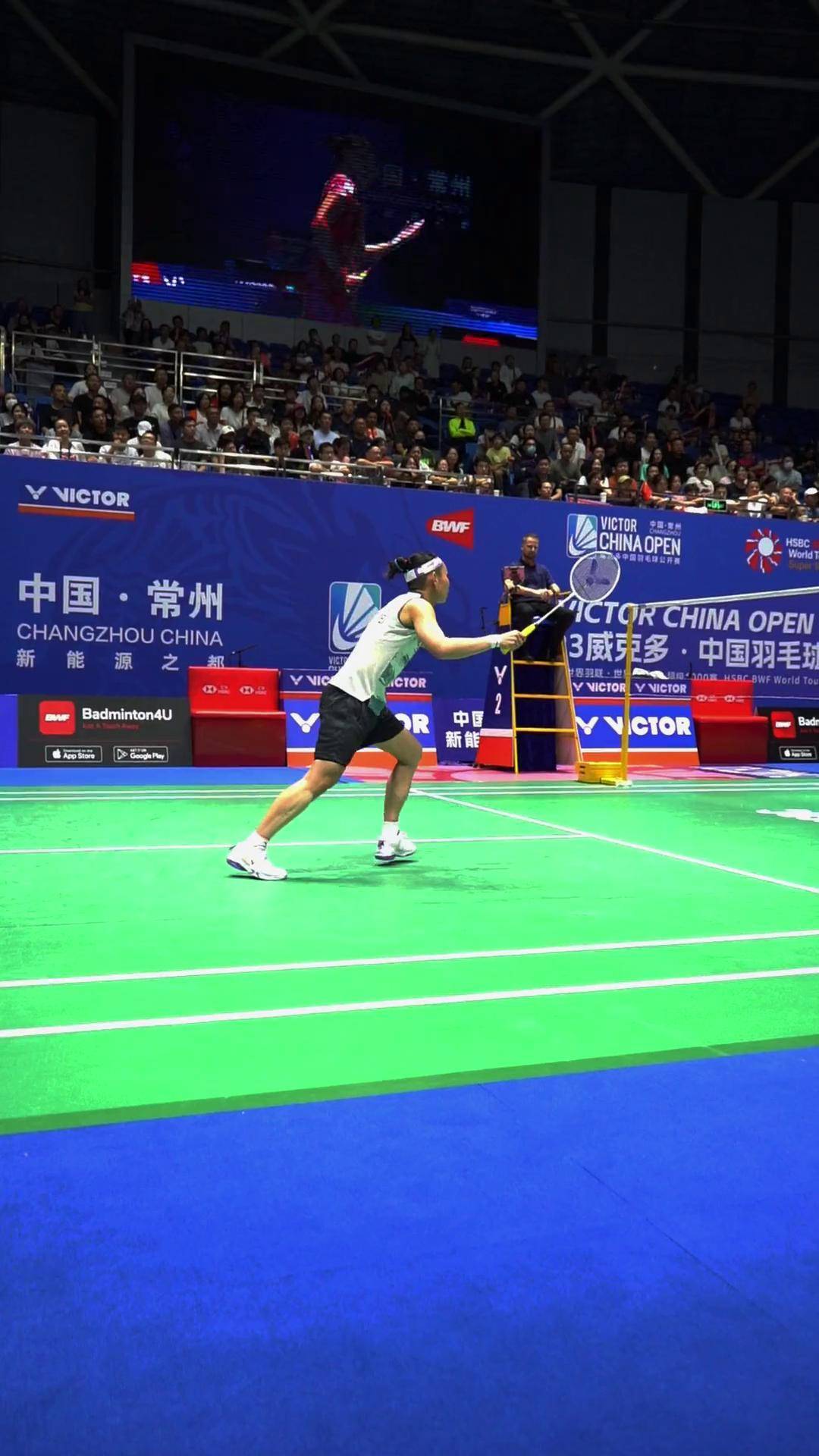 包含日本羽毛球队完胜韩国羽毛球队，戴资颖绝境逆转的词条